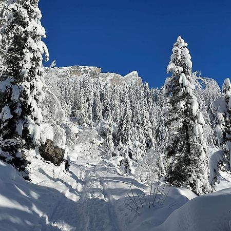 Chalet Du Grand Cerf แซร์โวซ์ ภายนอก รูปภาพ
