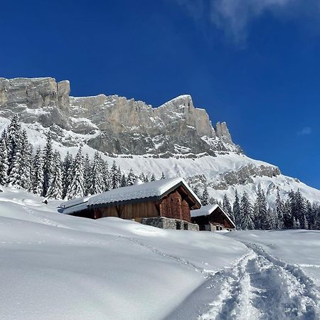 Chalet Du Grand Cerf แซร์โวซ์ ภายนอก รูปภาพ