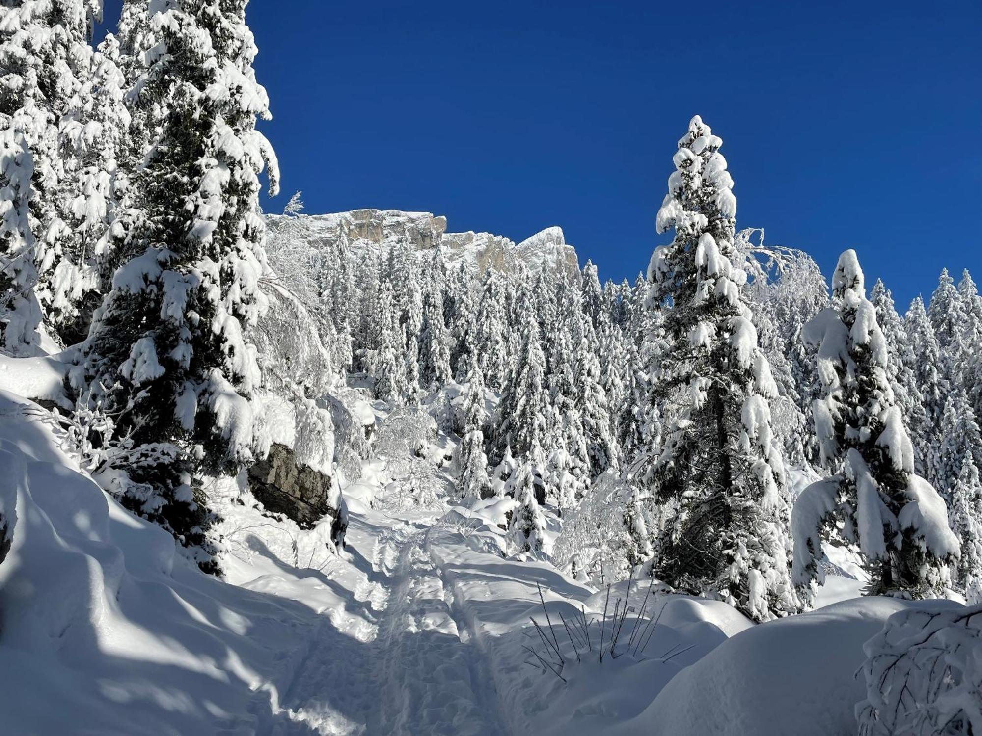 Chalet Du Grand Cerf แซร์โวซ์ ภายนอก รูปภาพ